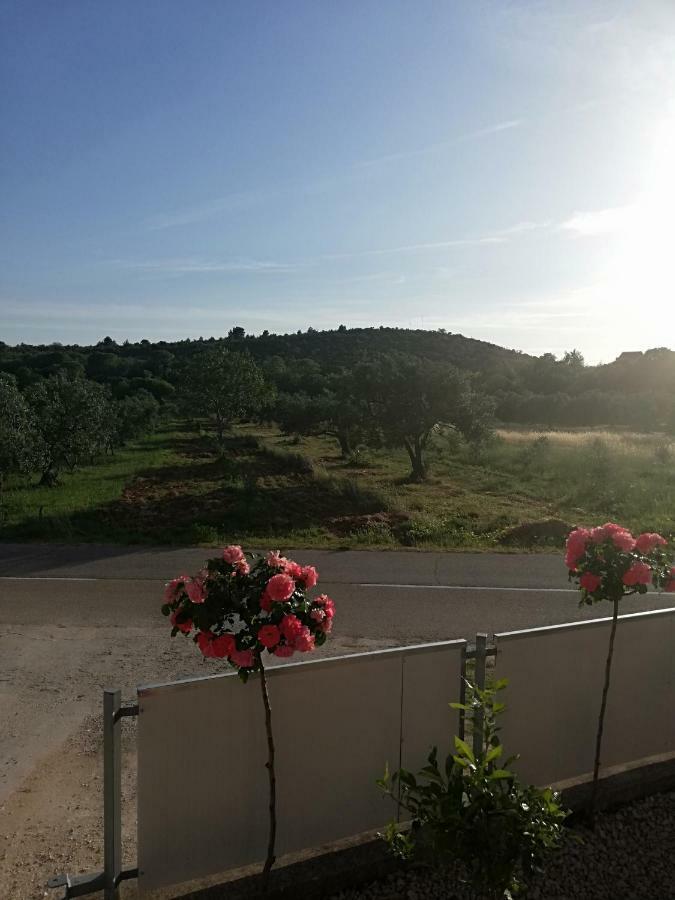 Apartmani Sladic Skradin Ngoại thất bức ảnh